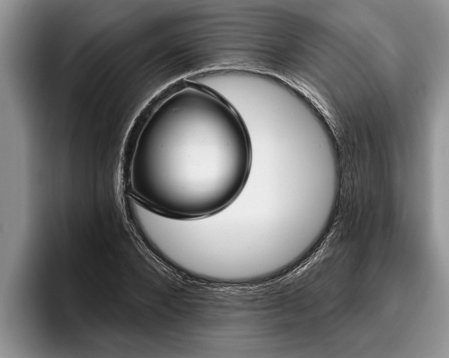 X0000095880880200801181203