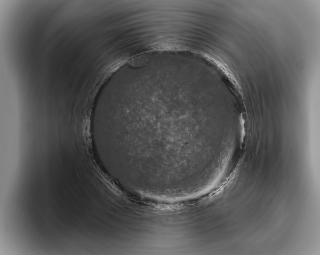 X0000095880881200801181203