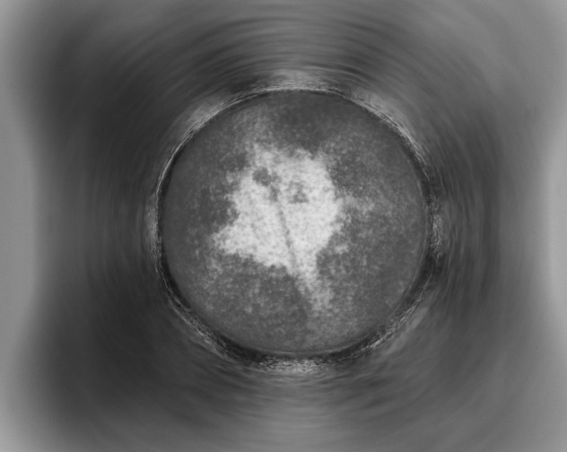 X0000095880882200801181203