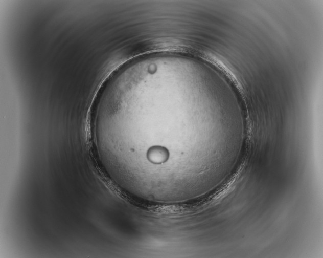 X0000095880883200801181203
