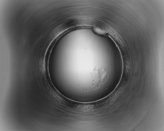 X0000095880884200801181203