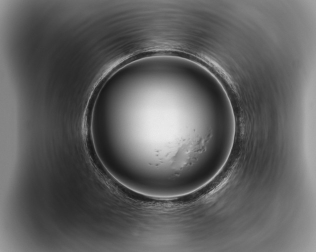 X0000095880885200801181203
