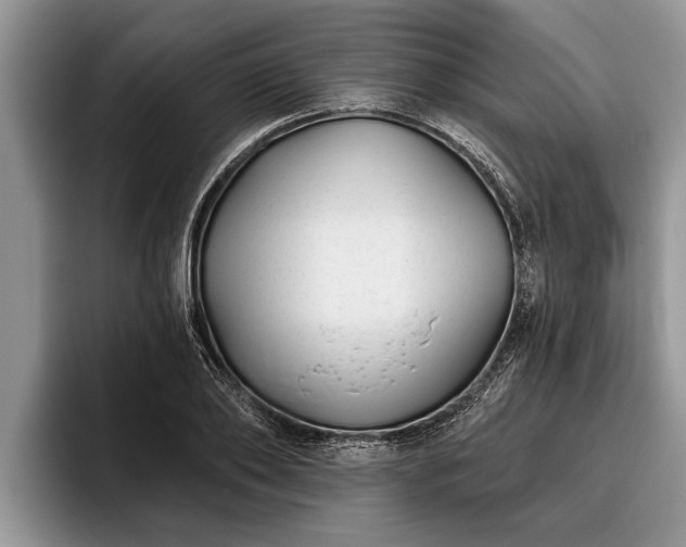 X0000095880886200801181203