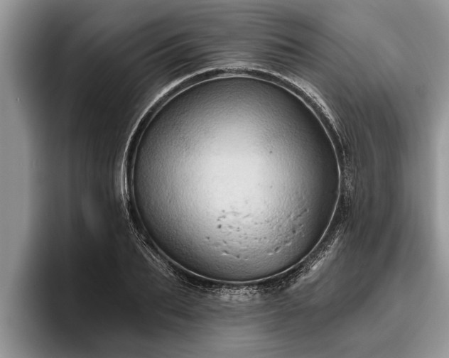 X0000095880887200801181203