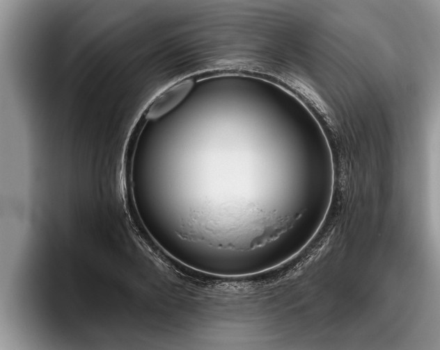 X0000095880888200801181203