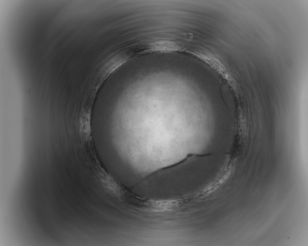 X0000095880889200801181203