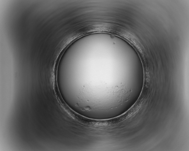 X0000095880890200801181203