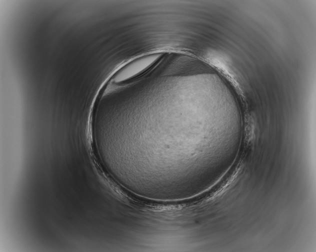 X0000095880892200801181203