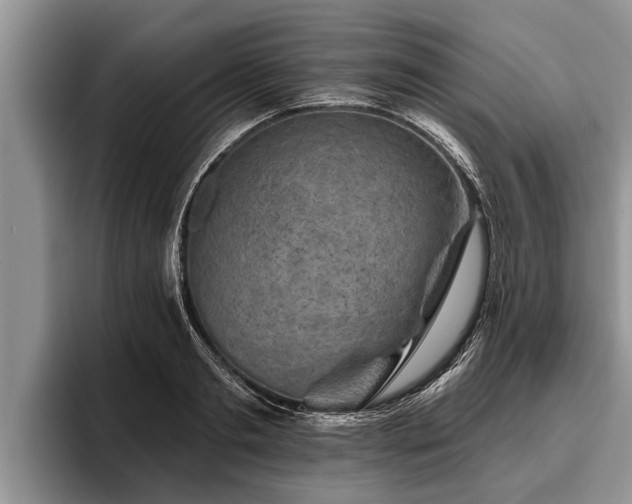 X0000095880893200801181203