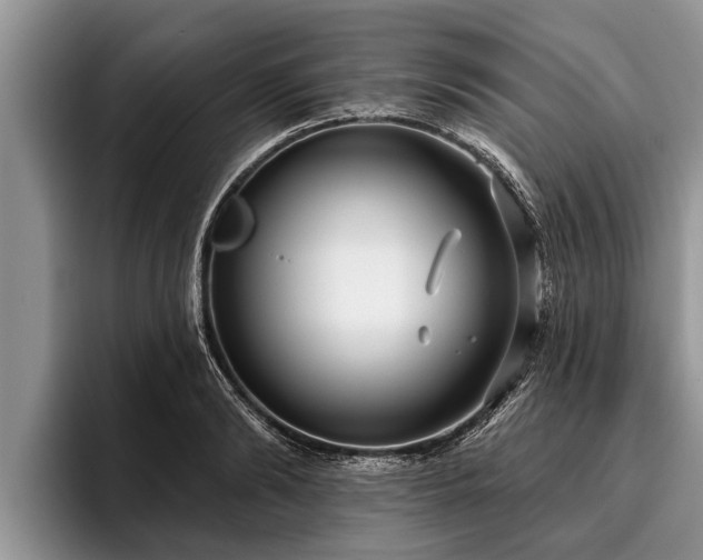 X0000095880894200801181203
