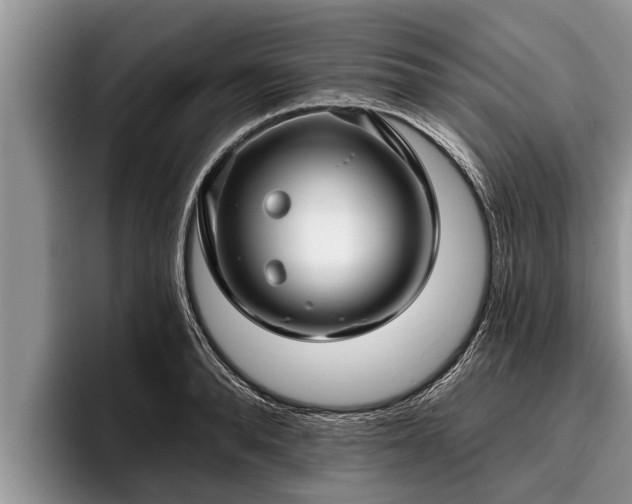 X0000095880896200801181203