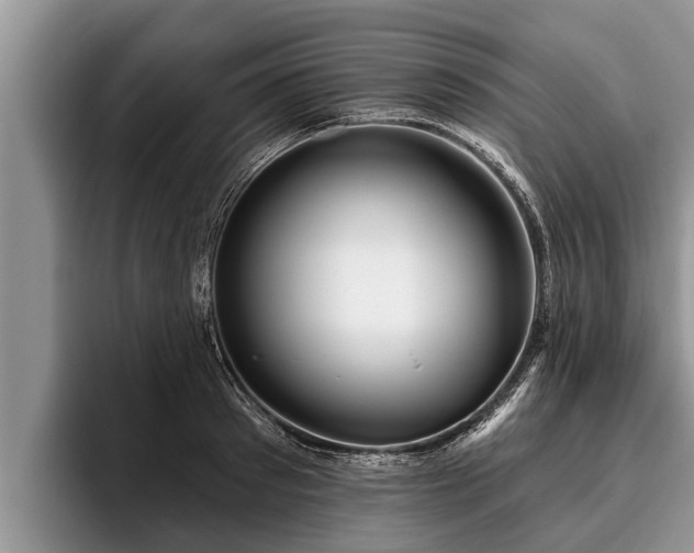 X0000095880897200801181203