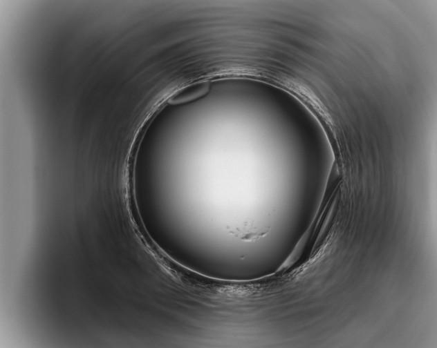 X0000095880898200801181203