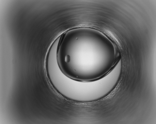 X0000095880900200801181203