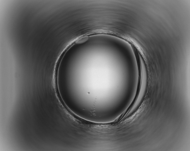 X0000095880902200801181203