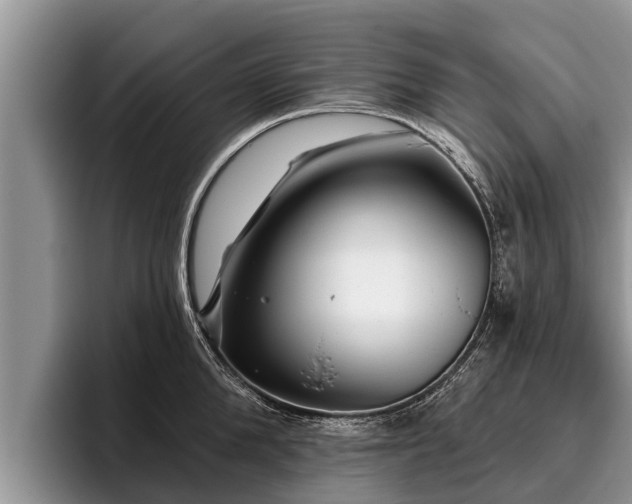 X0000095880904200801181203