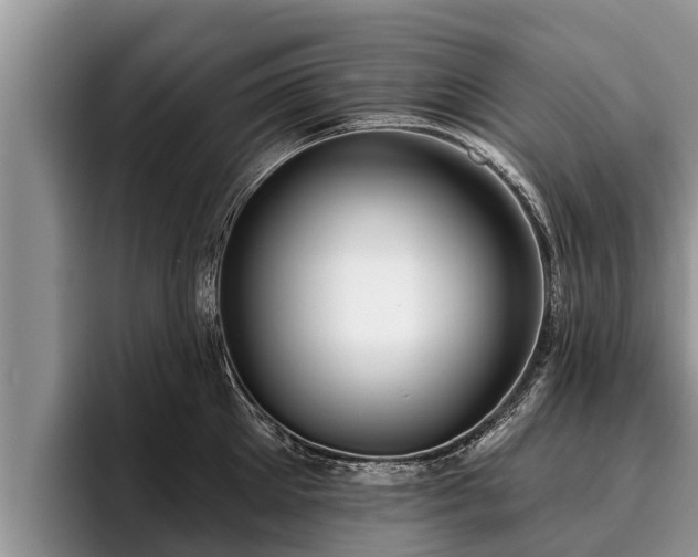 X0000095880905200801181203
