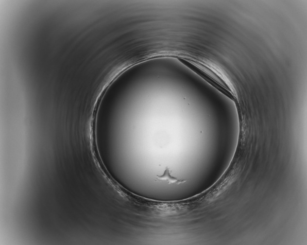 X0000095880906200801181203