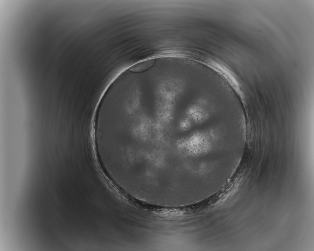 X0000095880907200801181203