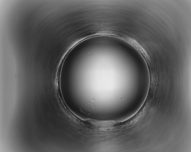 X0000095880908200801181203