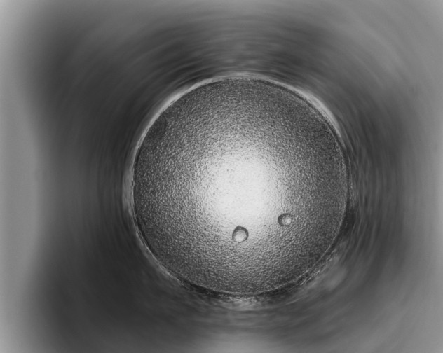 X0000095880911200801181203