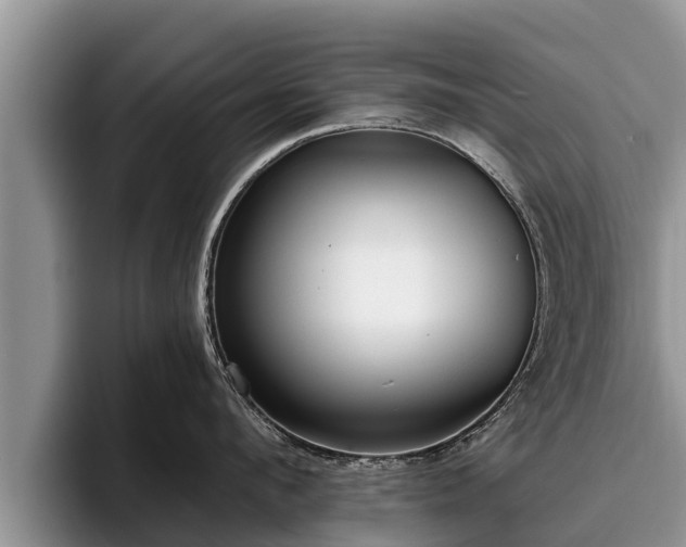 X0000095880912200801181203
