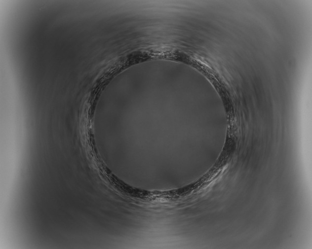 X0000095880913200801181202