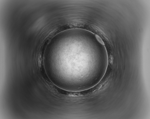 X0000095880915200801181202