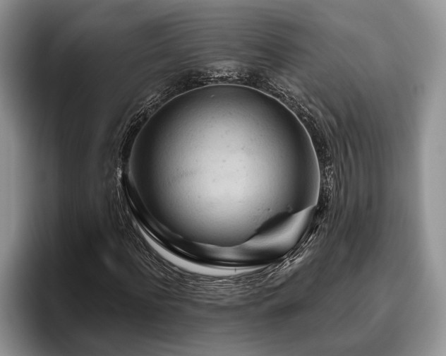 X0000095880916200801181202