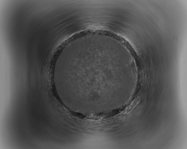 X0000095880919200801181202