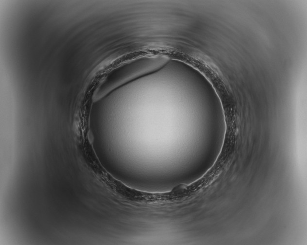 X0000095880920200801181202