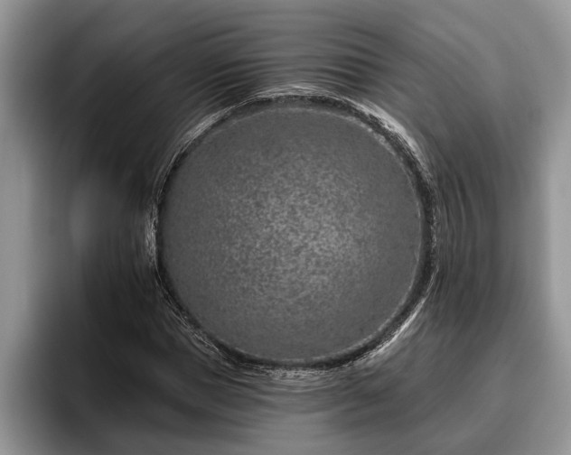 X0000095880921200801181202