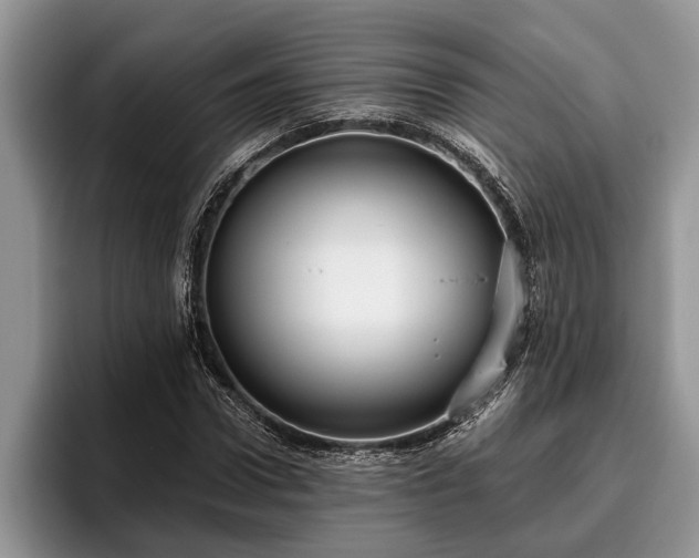 X0000095880922200801181202
