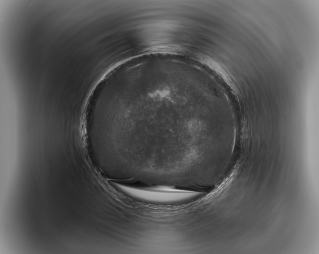 X0000095880923200801181202