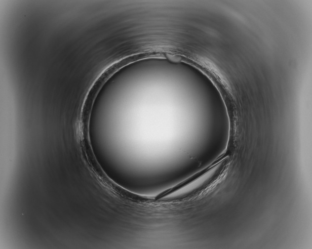 X0000095880924200801181202