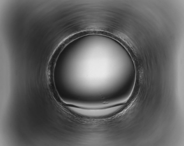 X0000095880926200801181202