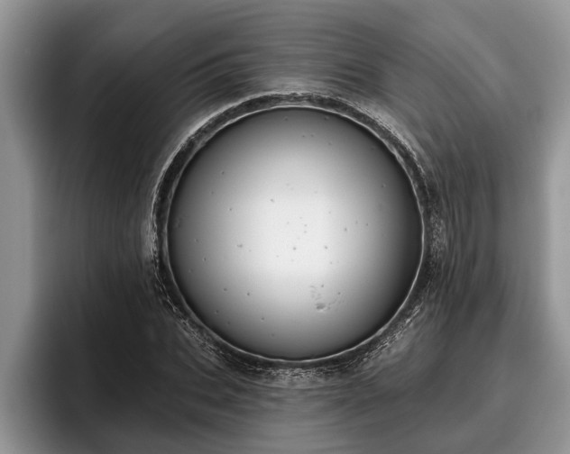 X0000095880927200801181202