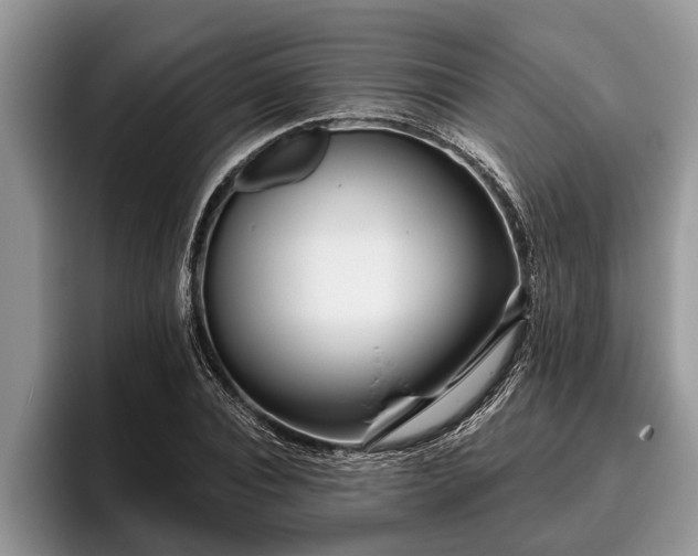 X0000095880928200801181202