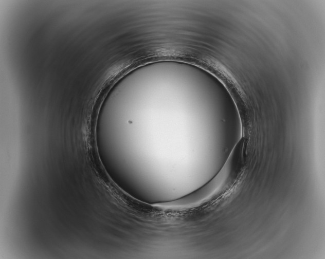 X0000095880930200801181202