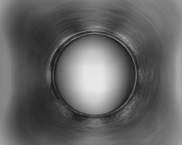 X0000095880931200801181202