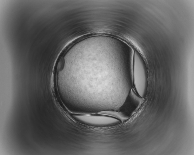 X0000095880932200801181202
