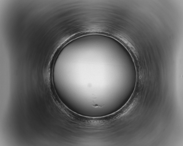 X0000095880933200801181202