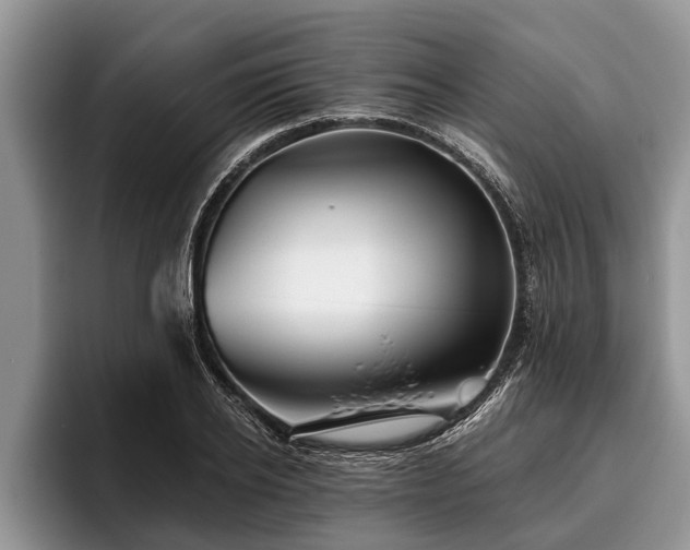 X0000095880934200801181202