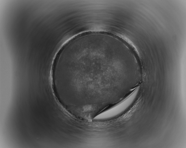 X0000095880935200801181202