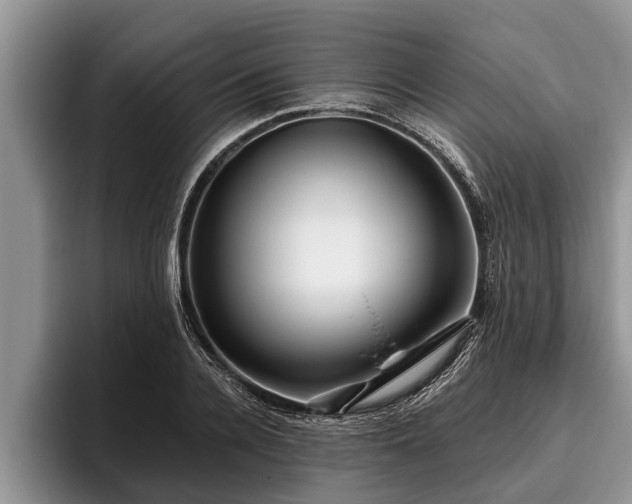 X0000095880936200801181202