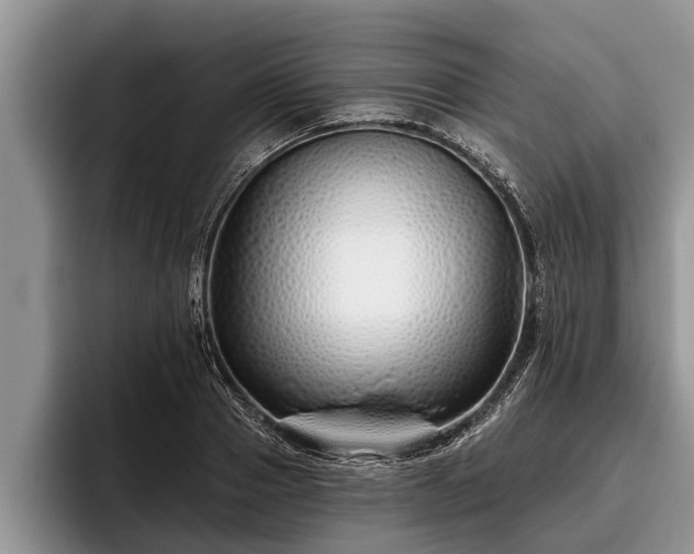 X0000095880937200801181202
