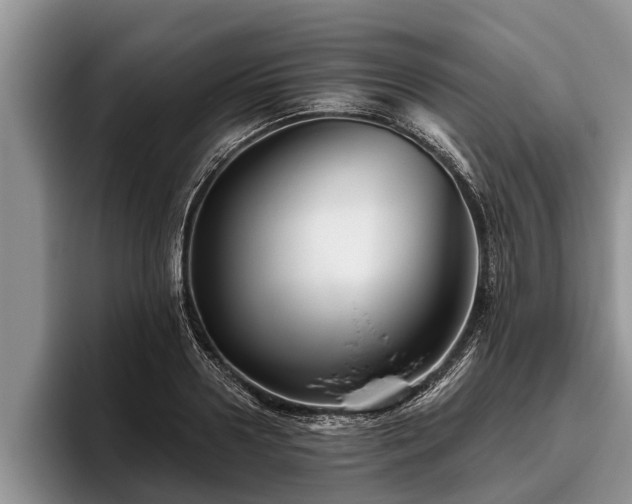 X0000095880938200801181202