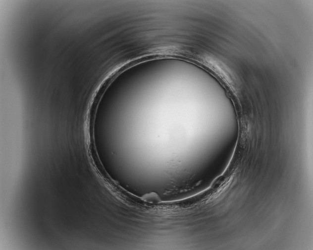 X0000095880939200801181202