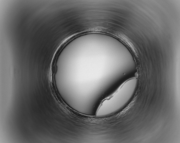 X0000095880940200801181202