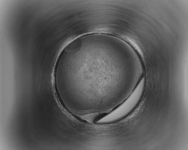 X0000095880944200801181202